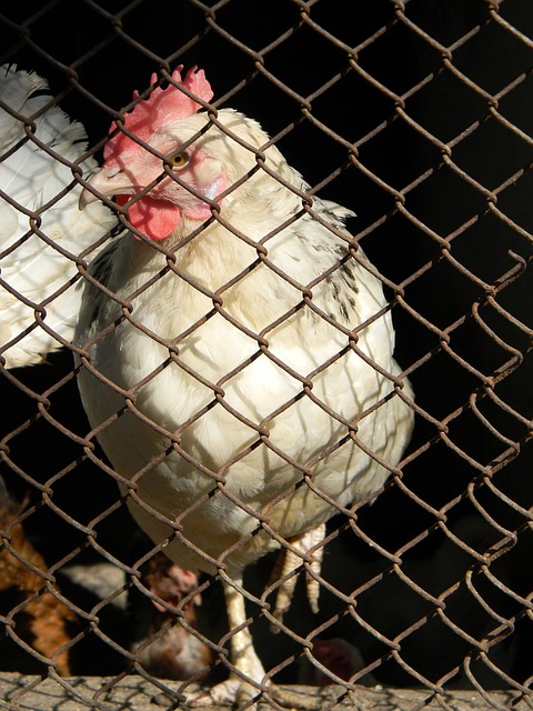 和其忠實支 和其忠實支