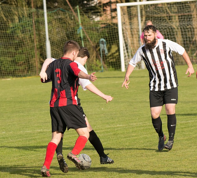 没有一个国 没有一个国