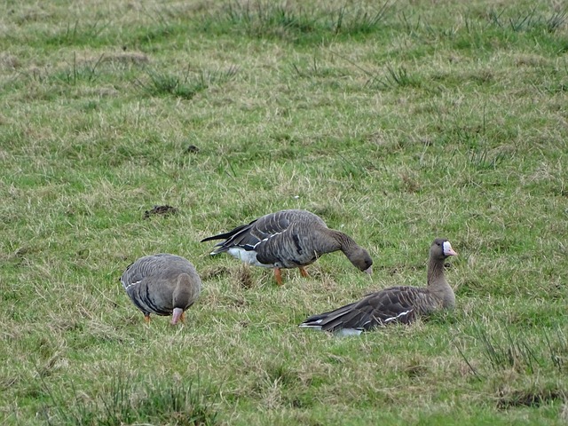 进行严格规 进行严格规