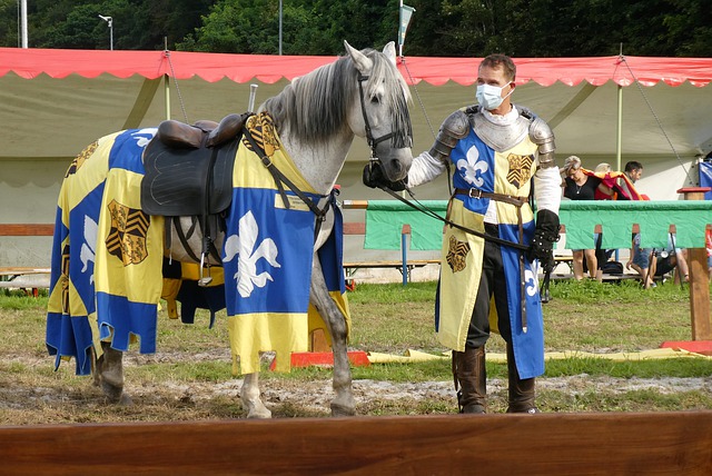 她退役后选 她退役后选