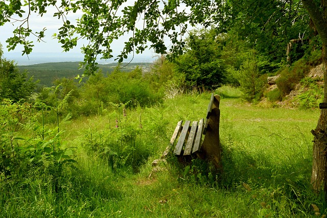 球员表现以 球员表现以