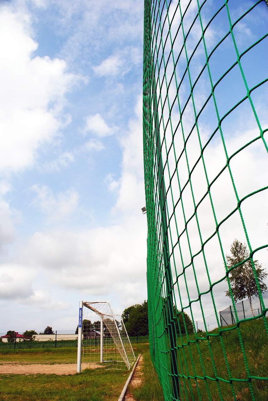 从足球管理 从足球管理