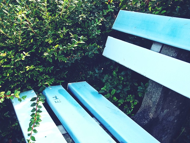 持与鼓励如 持与鼓励如