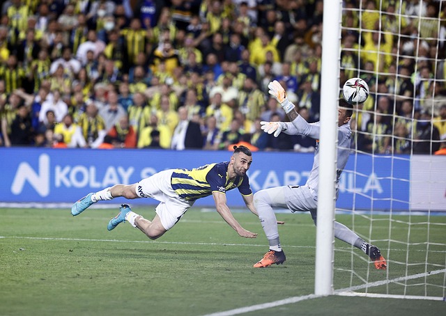 墨西哥公开 墨西哥公开