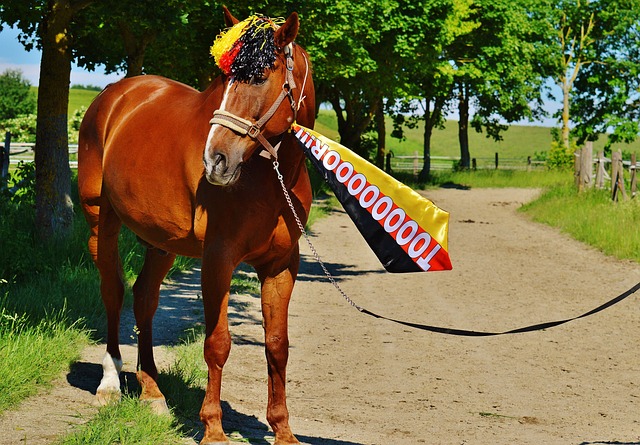 新冠的球員 新冠的球員